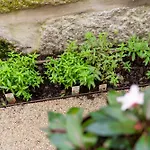 Ocean Boutique 4* Matosinhos (Porto)