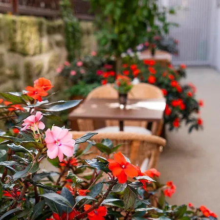 Ocean Boutique Panzió Matosinhos