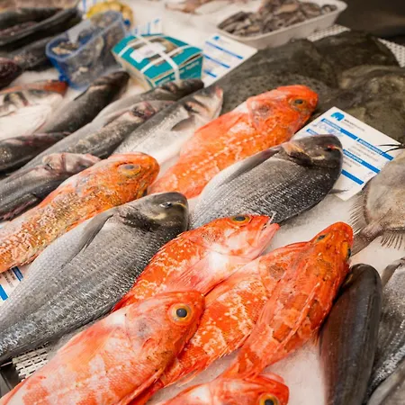 Bed & Breakfast Ocean Boutique