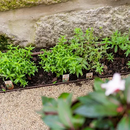 Ocean Boutique 4* Matosinhos