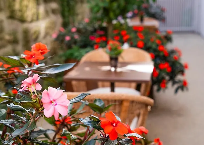 Ocean Boutique Bed and Breakfast Matosinhos (Porto)