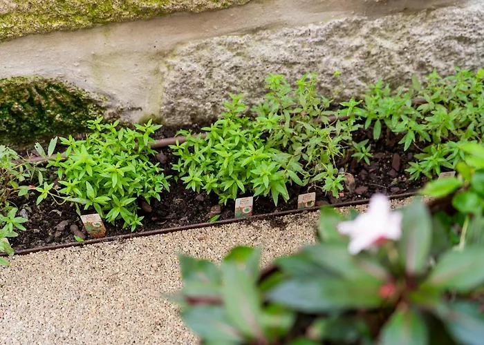 Ocean Boutique 4* Matosinhos (Porto)